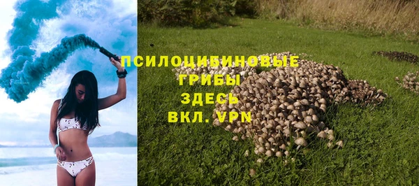 первитин Алексин