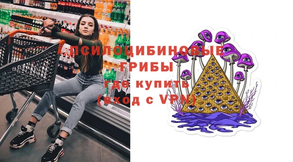 шишки Алзамай