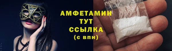 шишки Алзамай
