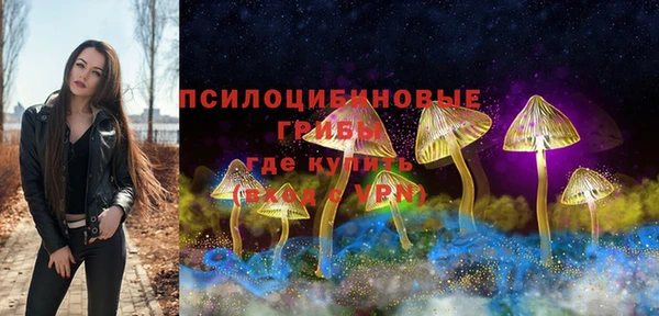 хмурый Алексеевка