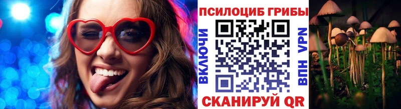 купить закладку Белебей Галлюциногенные грибы Psilocybe
