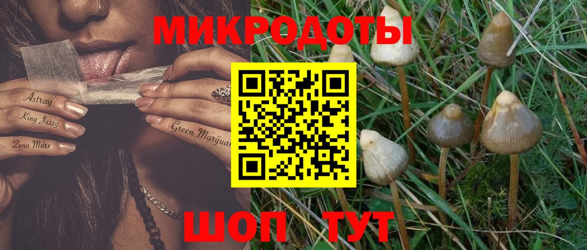 Псилоцибиновые грибы мицелий Белебей